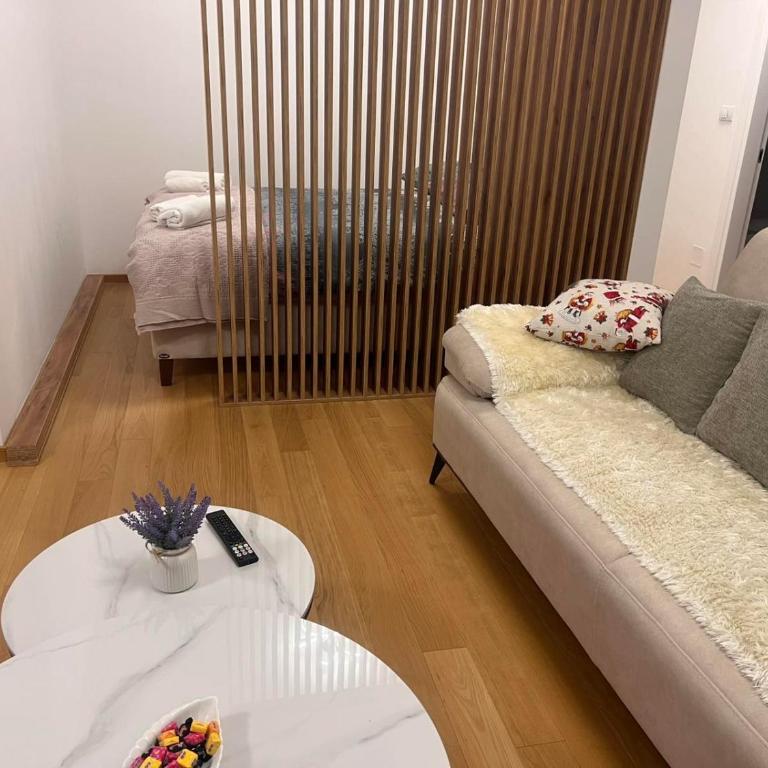 Taša 1 - Apartman sa 2 Spavaće Sobe - 29