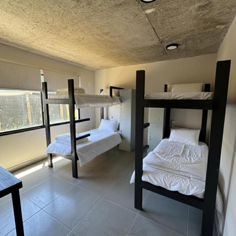 Casa mansa hostel - 4-Bed Mixed Dormitory Room - 4