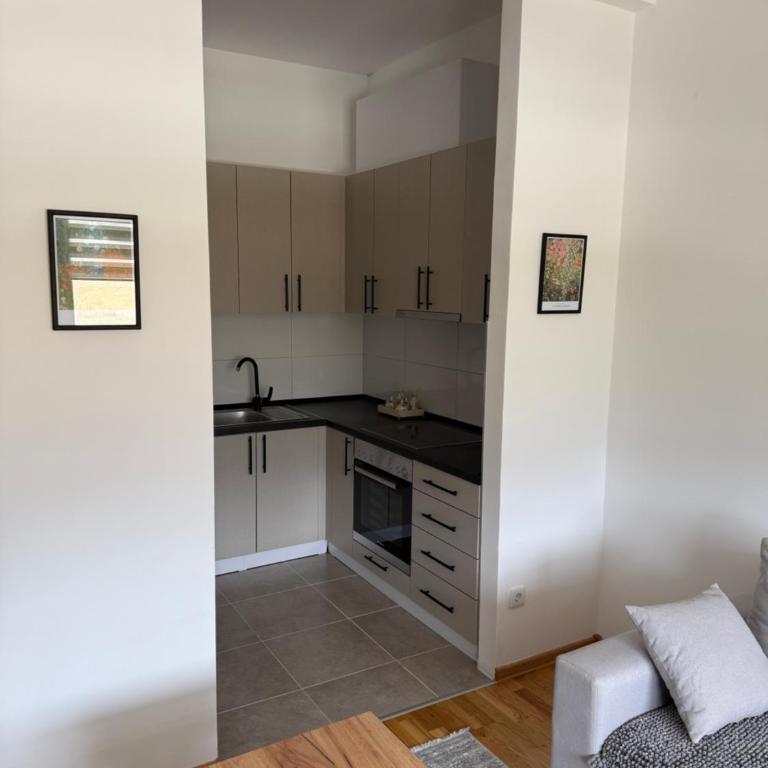 APARTMAN Zuca - Apartman sa 1 Spavaćom Sobom - 16
