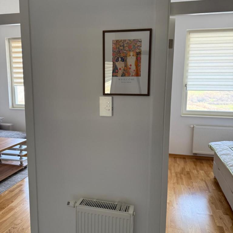 APARTMAN Zuca - Apartman sa 1 Spavaćom Sobom - 6