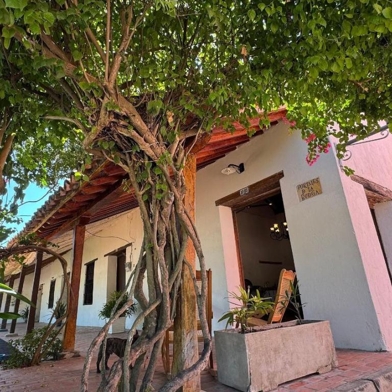 Casa Portales - Two-Bedroom House - 1