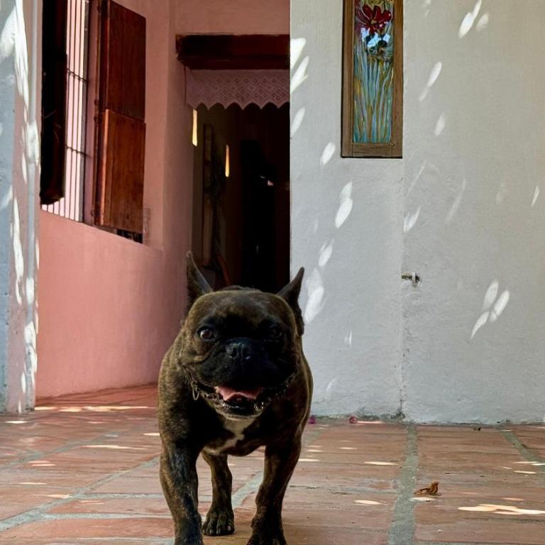 Casa Portales - Two-Bedroom House - 45