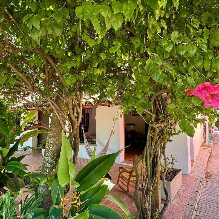 Casa Portales - Two-Bedroom House - 54