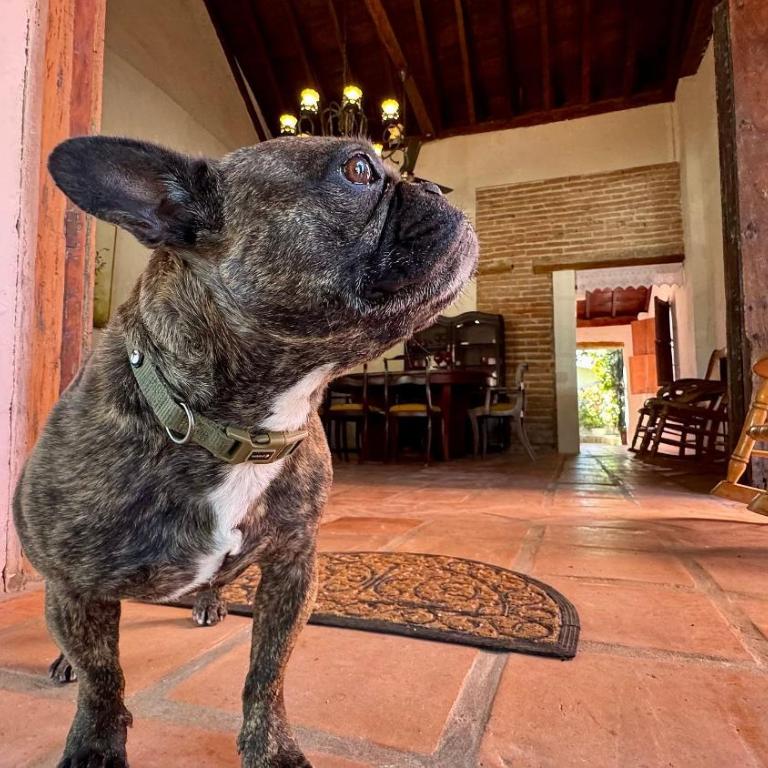 Casa Portales - Two-Bedroom House - 57