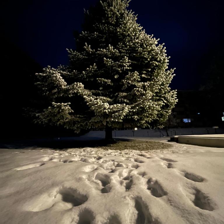 Apartment Wohlfühl-Oase mit Pool & Sauna, aktivCard inkl - Appartamento con Vista e Balcone - 48