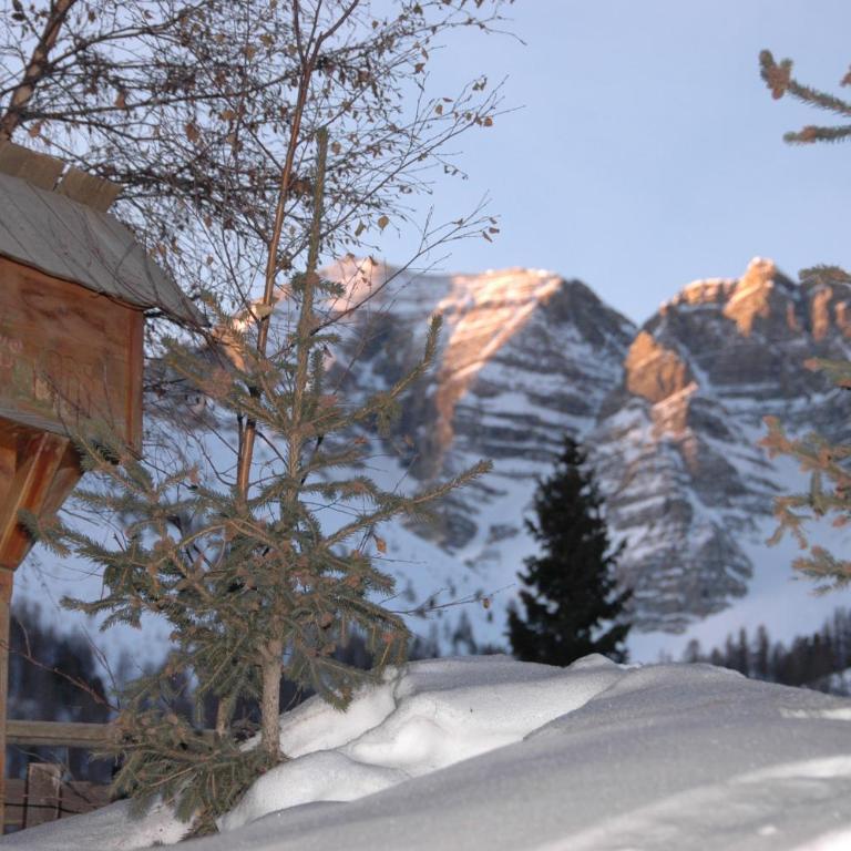 Chalet La Tanière 14 Pers - piscine chauffée et sauna - Vars Saint Marcellin - Chalet - 94