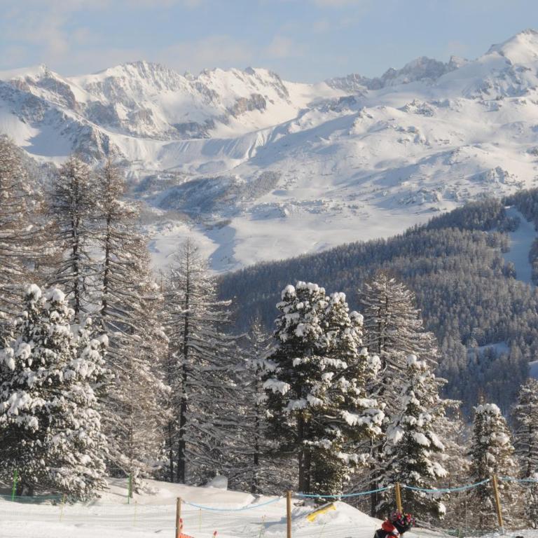 Chalet La Tanière 14 Pers - piscine chauffée et sauna - Vars Saint Marcellin - Chalet - 81