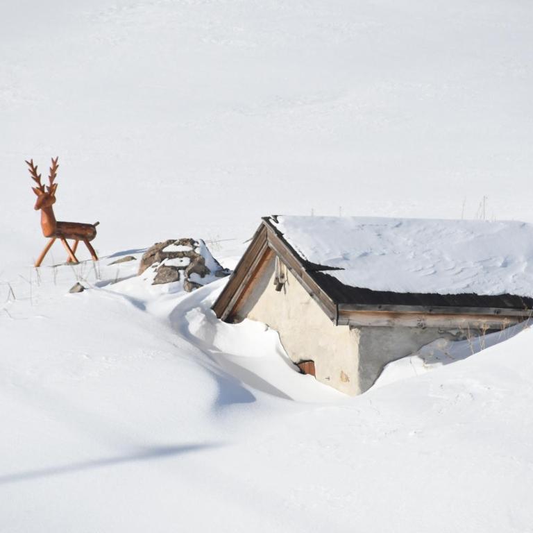 Chalet La Tanière 14 Pers - piscine chauffée et sauna - Vars Saint Marcellin - Chalet - 85