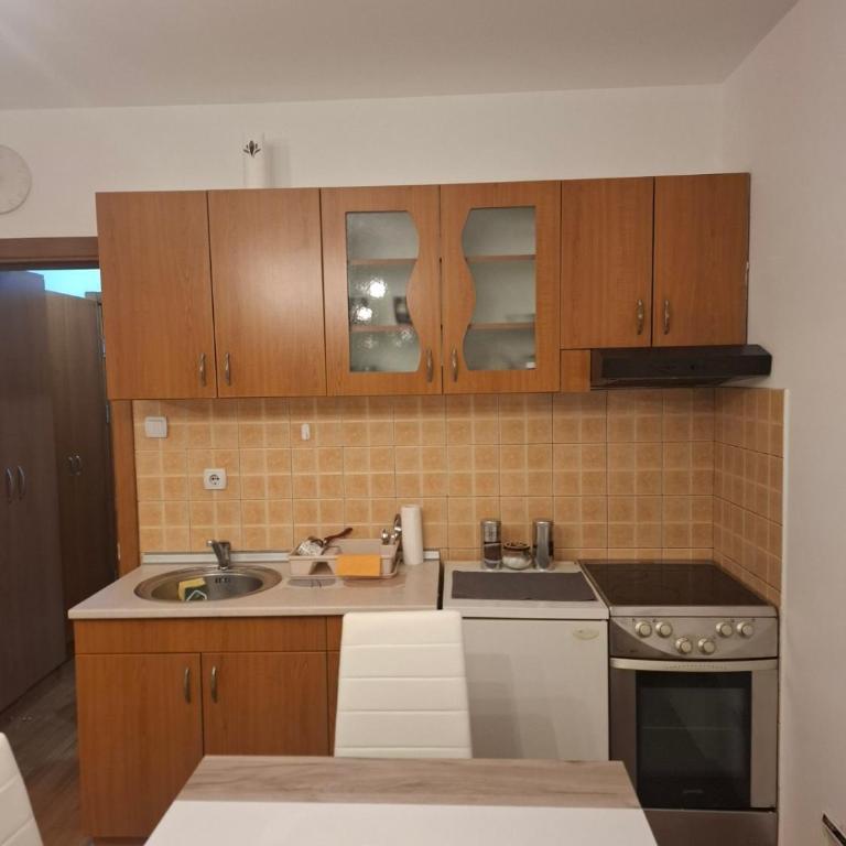 apartman Nevena - Apartman sa 1 Spavaćom Sobom - 10