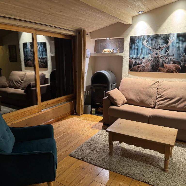 Appartement 71m2 près de Megève, à 200m télécabine la Princesse, local à ski, 2 chambres, parking couvert - Appartement 2 Chambres avec Balcon et Terrasse - 7