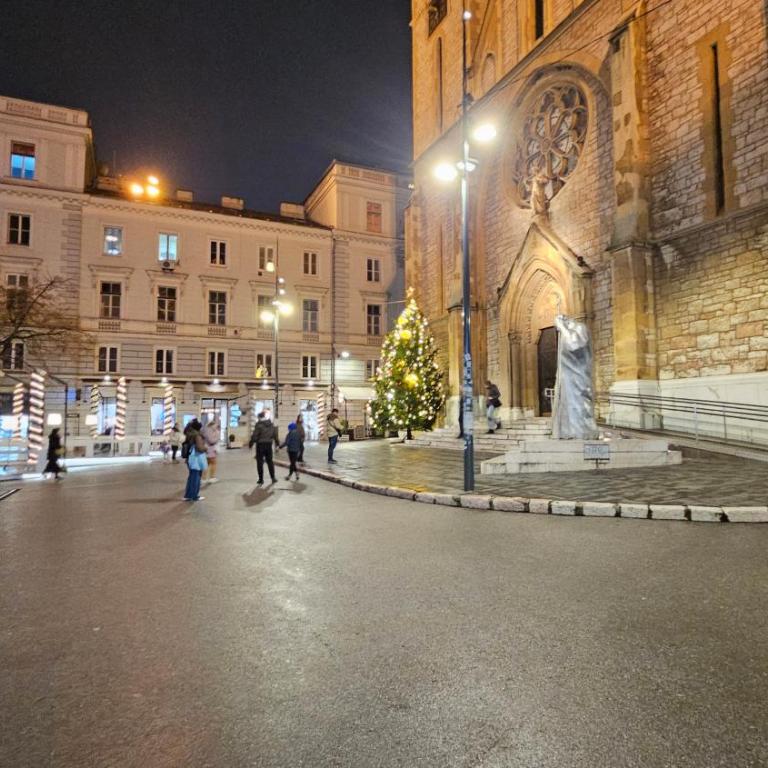 Studio Ferhadija - Apartman sa 1 Spavaćom Sobom - 17