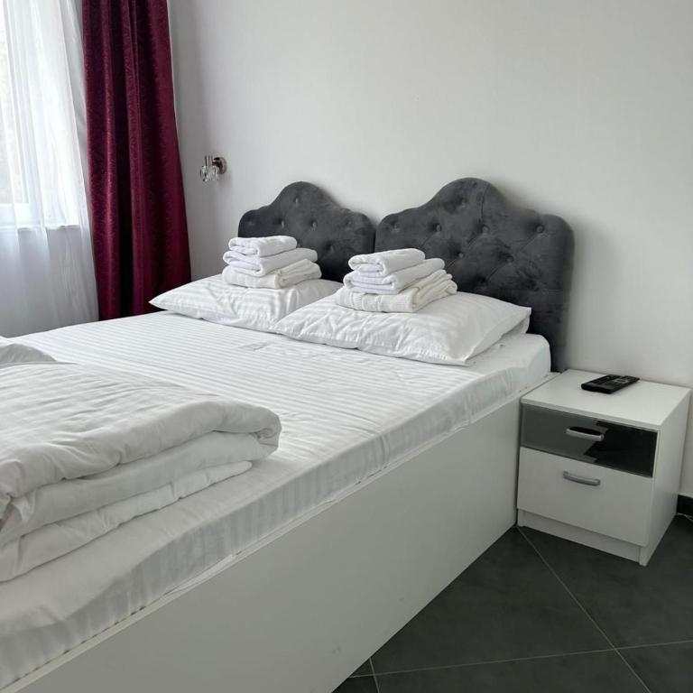Wolf Apartments Kopaonik - Deluxe One-Bedroom Apartment - 4