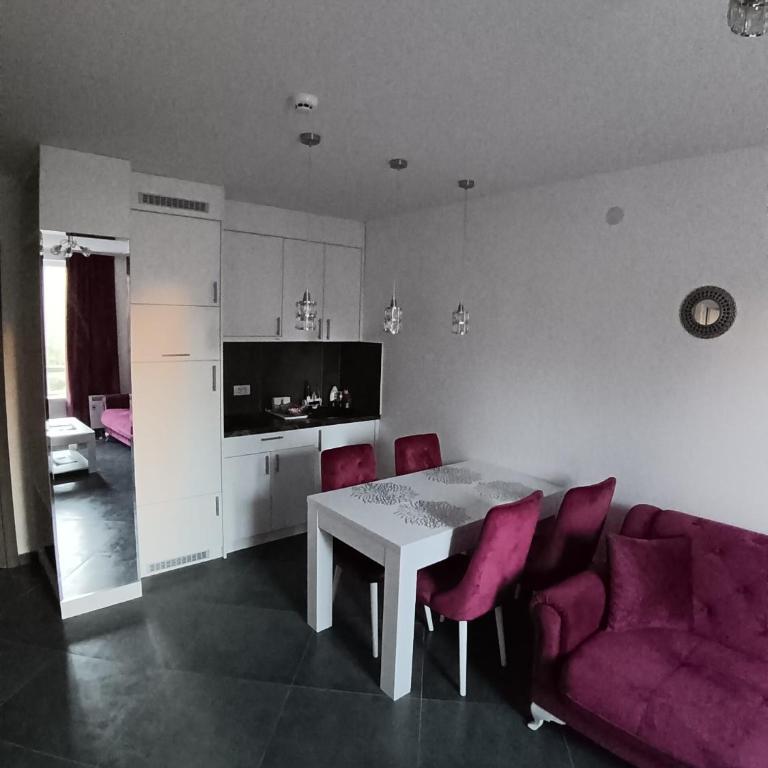 Wolf Apartments Kopaonik - Deluxe One-Bedroom Apartment - 6