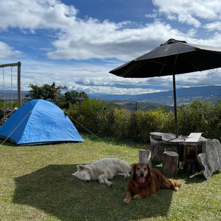 Zona de Camping El mirador - Tent - 2