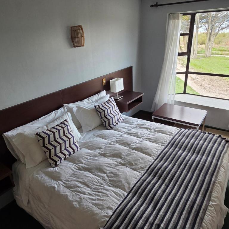 Hotel HD Natales - King Room - 16