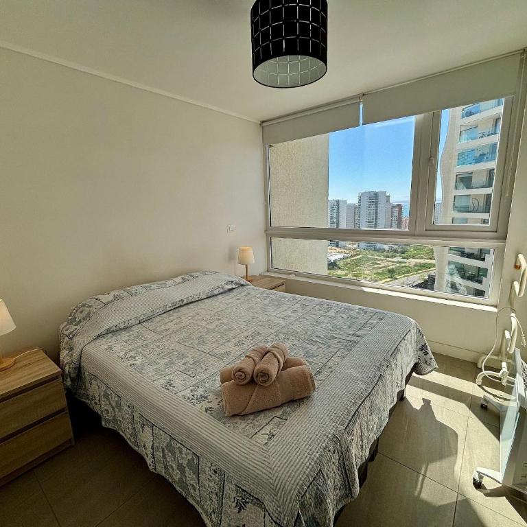 Beautiful and cozy apartment - Apartment - 2