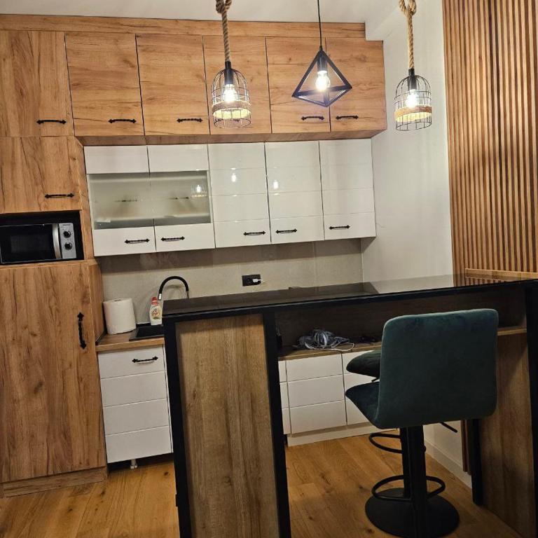 Apartman Majski Bor Zlatibor - One-Bedroom Apartment - 18