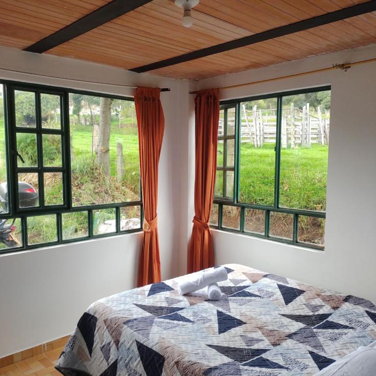 Alojamiento Anita Habitaciòn - Apartamento de 1 dormitorio - 2