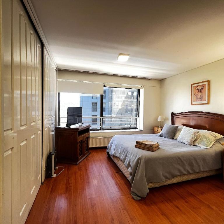 Living Valdivia - Estudio Estándar - 3