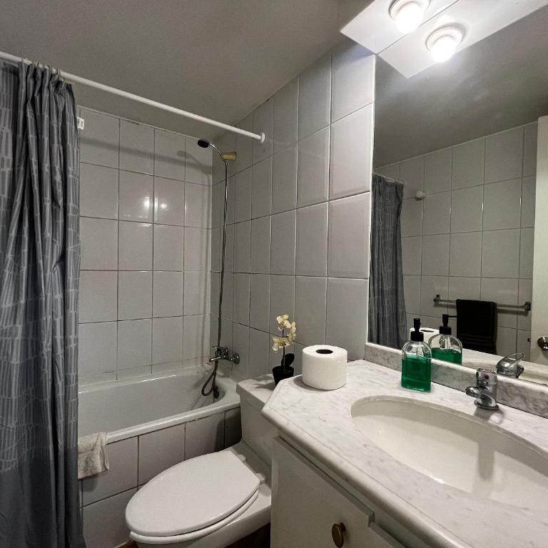 Living Valdivia - Estudio Estándar - 18