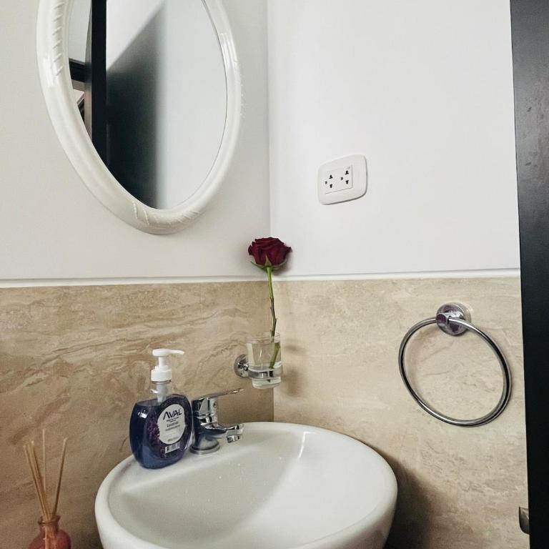 Apartment near downtown - Apartamento de 1 dormitorio - 22