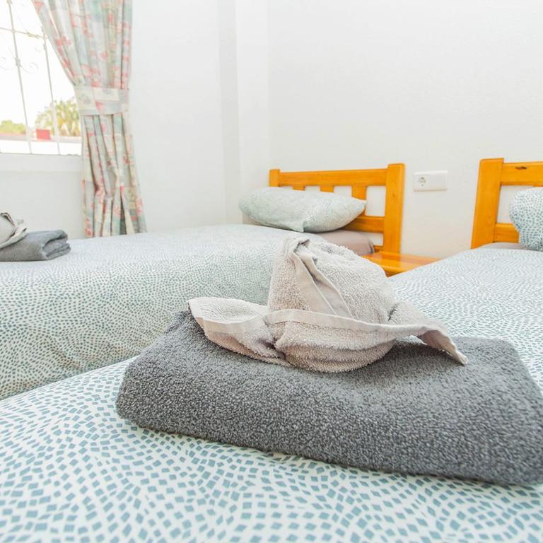 Casa del Mar Playa de La Mata - Apartamento de 3 dormitorios - 8