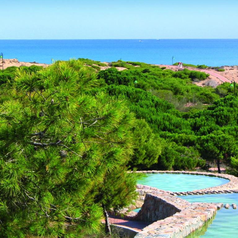 Casa del Mar Playa de La Mata - Apartamento de 3 dormitorios - 25