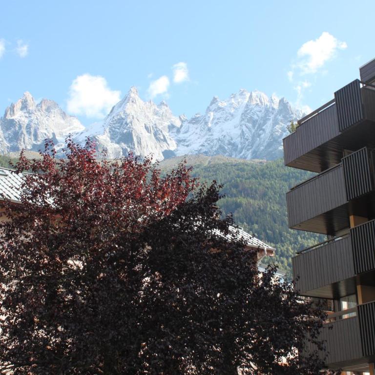 Apartment Mummery 1 - Central Chamonix Walk to Piste - Appartamento con Balcone - 1