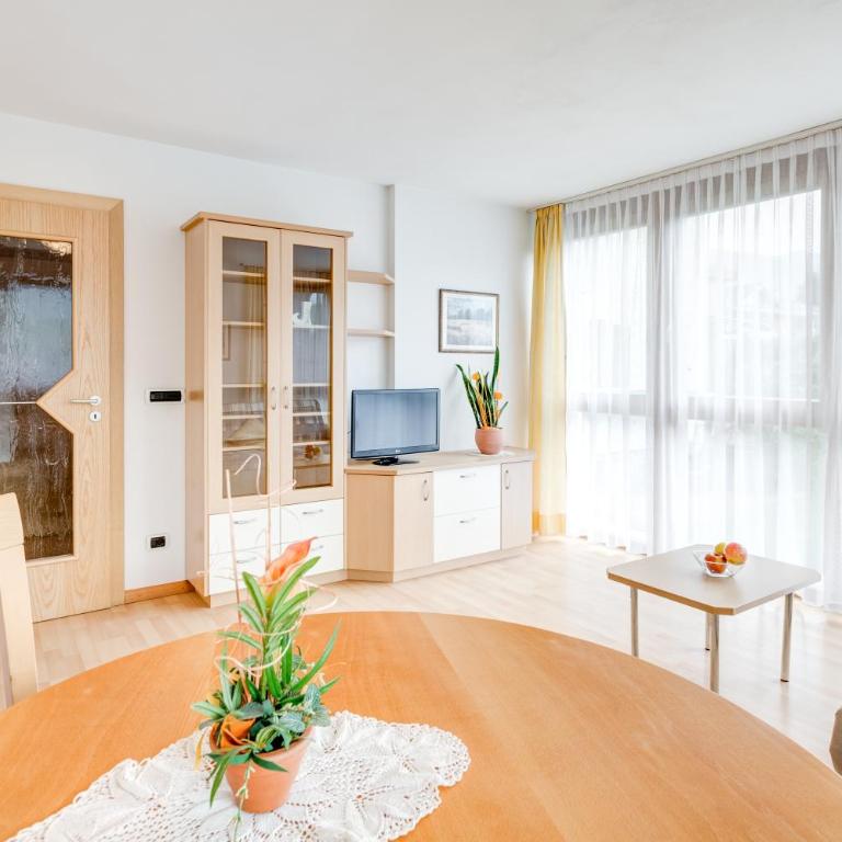 Pension Haus am See - Appartamento con Vista Montagna - 9