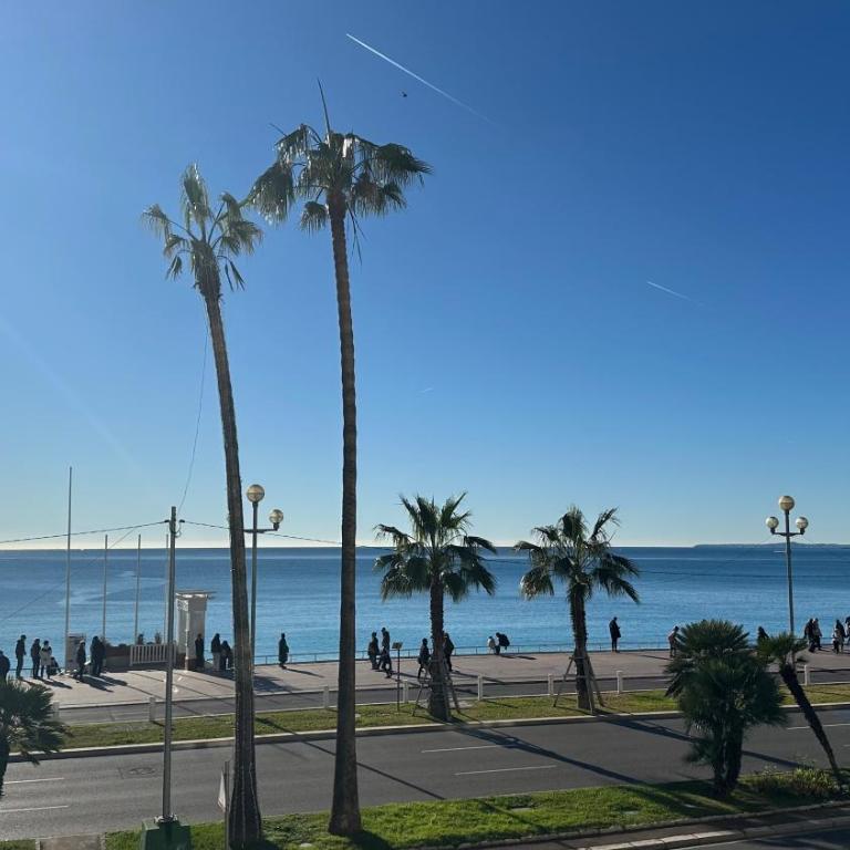 Carre d Or Face a la Mer - Appartement 1 Chambre - 1