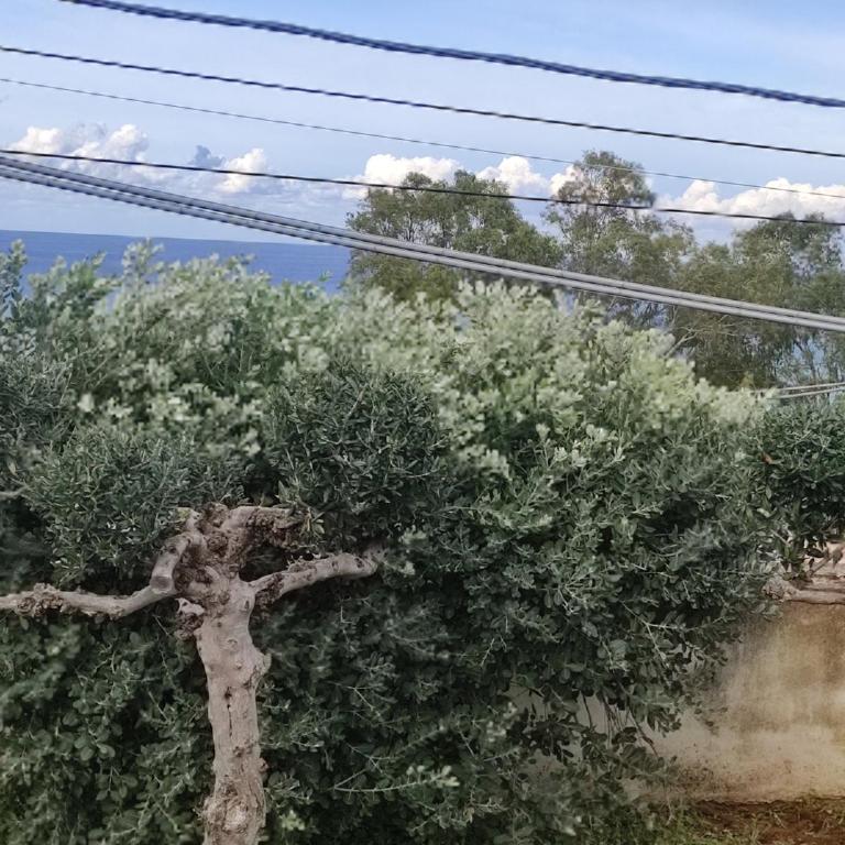 Villa Lucrezia I - Casa con 3 Camere da Letto - 5