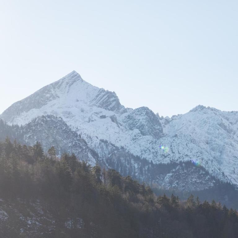 Am Kreuzjoch - Apartamento con vistas a las montañas - 40