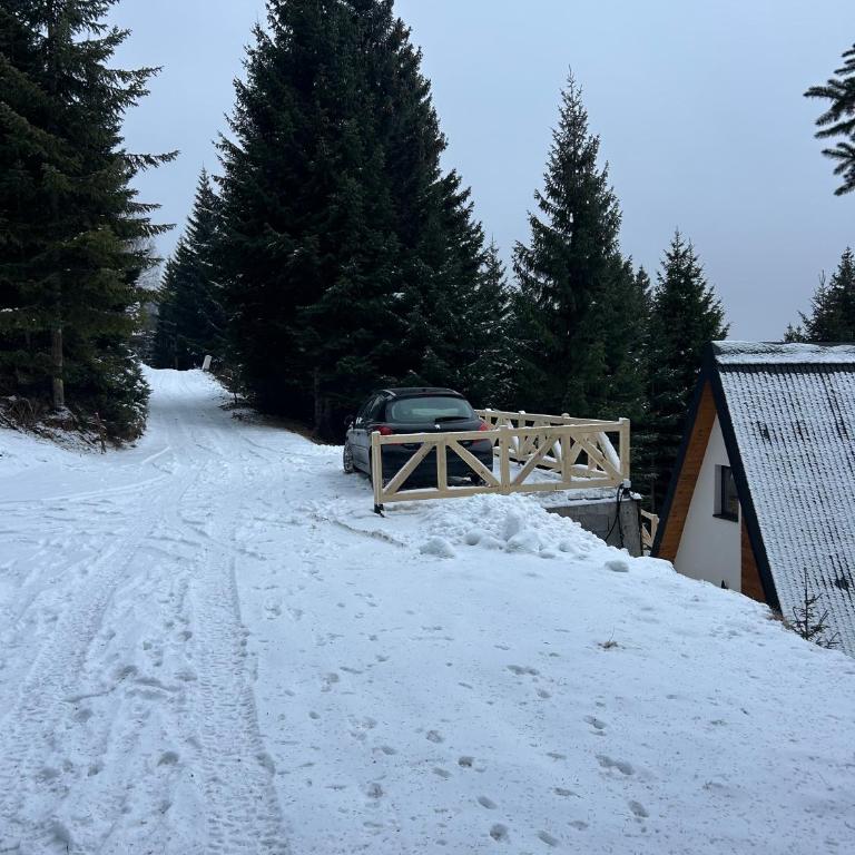 Tara mountain house Kopaonik - Two-Bedroom House - 19
