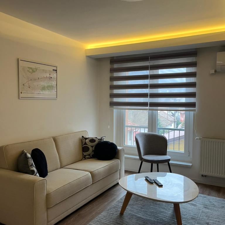 Baščaršija Spot - Private Garage - Apartman sa 1 Spavaćom Sobom - 3