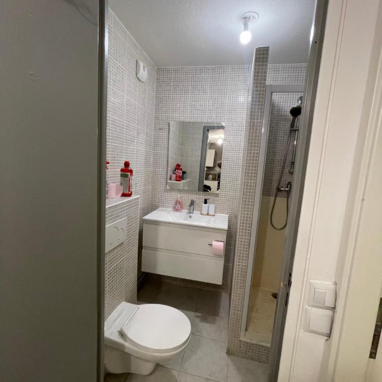 Einzel Zimmer Metz - Appartement 3 Chambres - 11