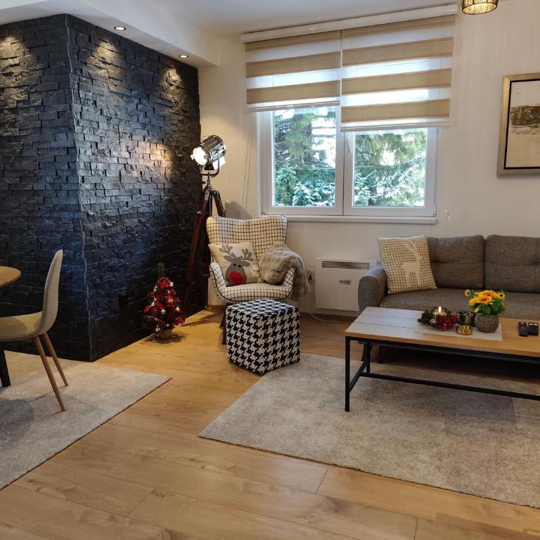 Vila Jahor Apartman Casa 4 - Apartman sa 1 Spavaćom Sobom - 11