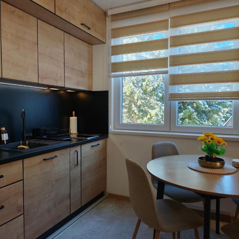 Vila Jahor Apartman Casa 4 - Apartman sa 1 Spavaćom Sobom - 37