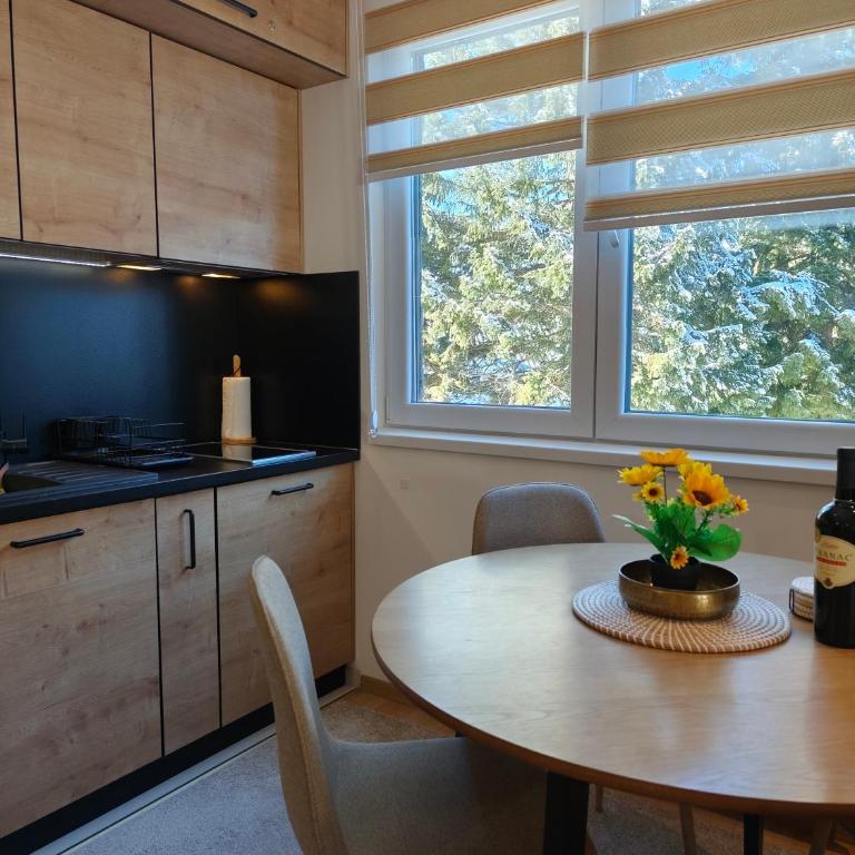 Vila Jahor Apartman Casa 4 - Apartman sa 1 Spavaćom Sobom - 41