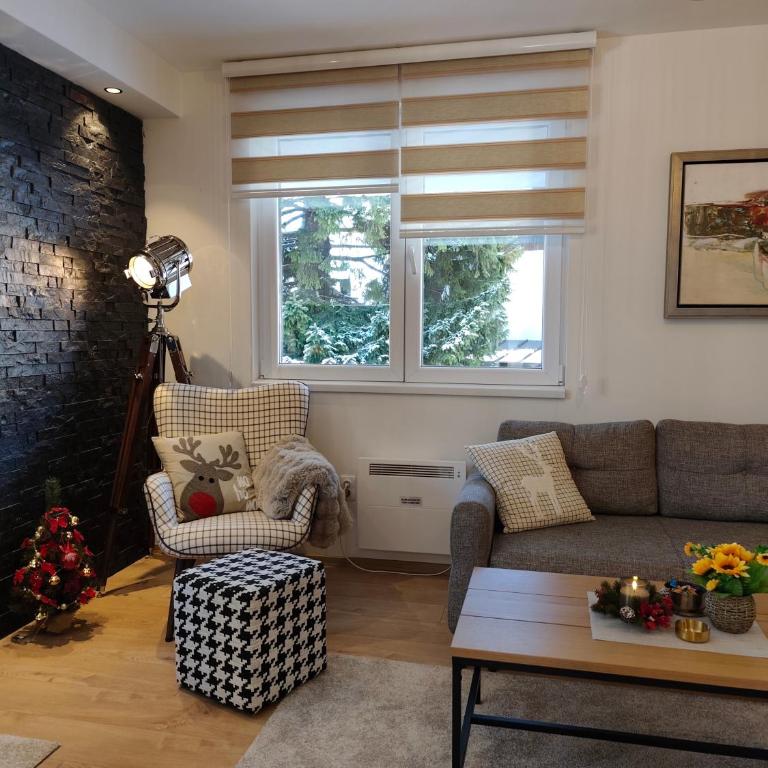 Vila Jahor Apartman Casa 4 - Apartman sa 1 Spavaćom Sobom - 62