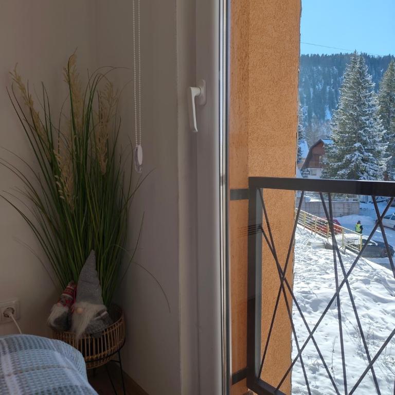 Vila Jahor Apartman Casa 4 - Apartman sa 1 Spavaćom Sobom - 21