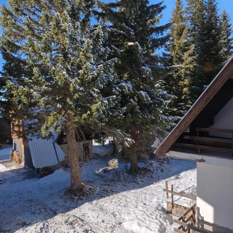 Vila Jahor Apartman Casa 4 - Apartman sa 1 Spavaćom Sobom - 60