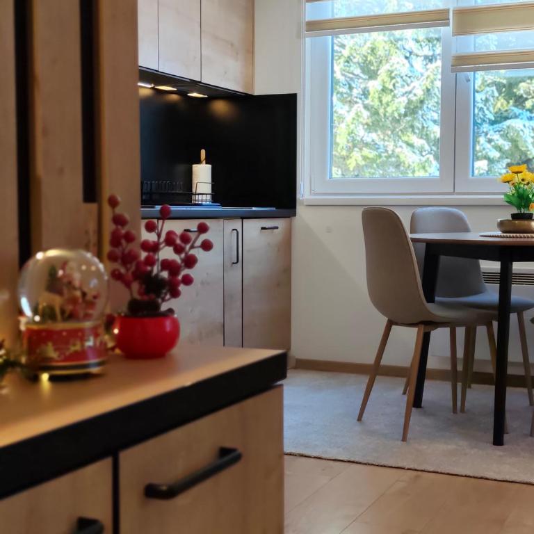 Vila Jahor Apartman Casa 4 - Apartman sa 1 Spavaćom Sobom - 78