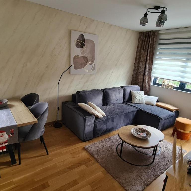 Holiday Residence Zlatibor free garage - One-Bedroom Apartment - 23