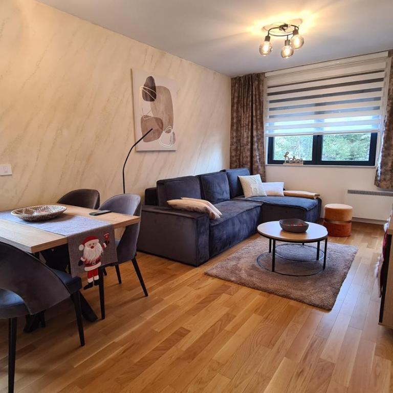 Holiday Residence Zlatibor free garage - One-Bedroom Apartment - 21