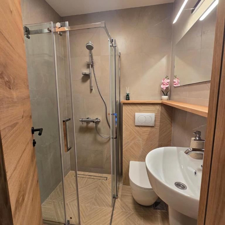 Apartman Arizanović - One-Bedroom Apartment - 6