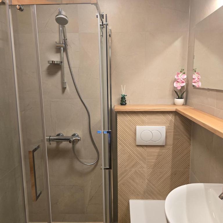 Apartman Arizanović - One-Bedroom Apartment - 5