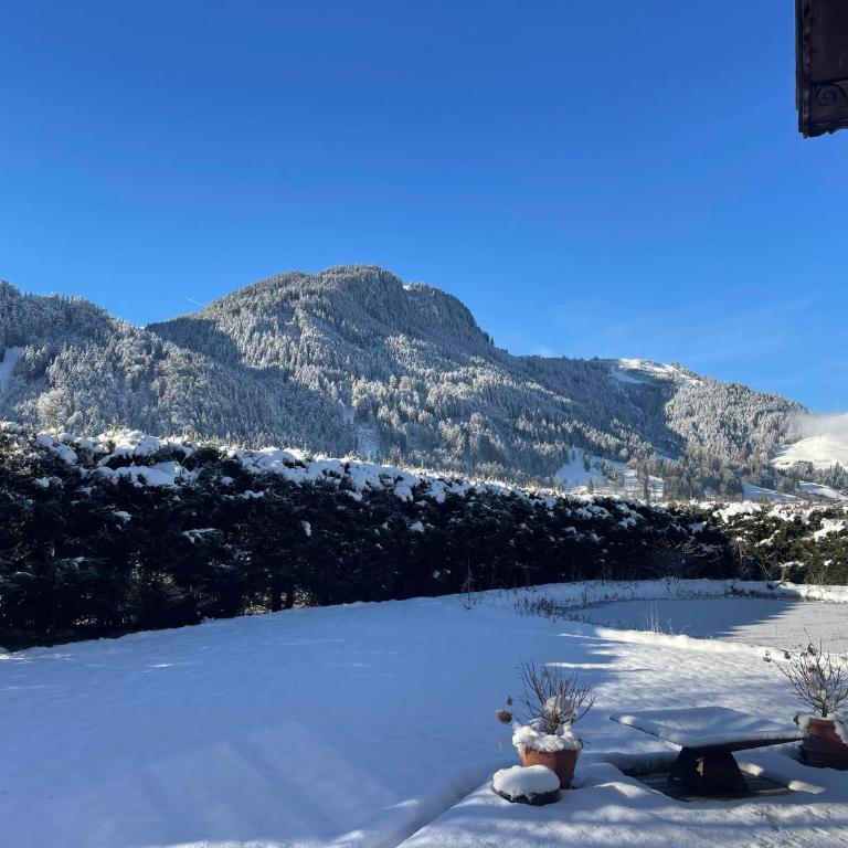 Winklern Lodges - One-Bedroom Apartment - 14