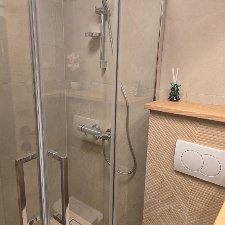 Apartman Arizanović - One-Bedroom Apartment - 8