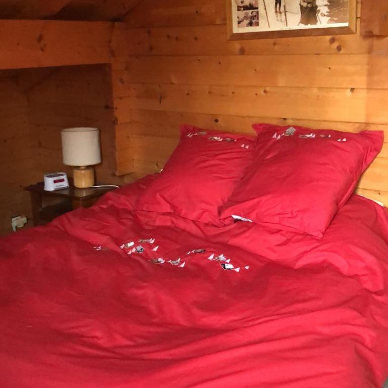 Chalet de charme aux Carroz d'Arrâches-Flaines - Chalet - 17