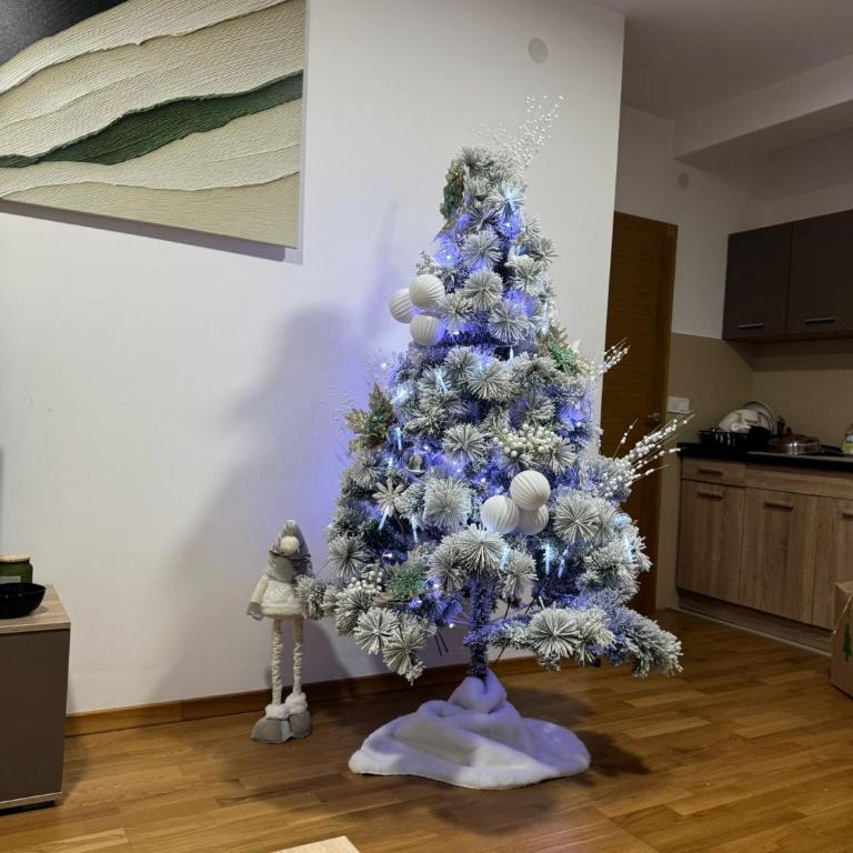 Apartmani Jovana - One-Bedroom Apartment - 1